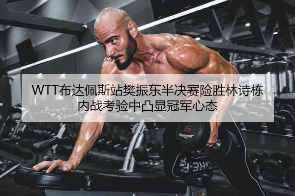 WTT布达佩斯站樊振东半决赛险胜林诗栋 内战考验中凸显冠军心态